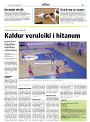 Síða 23