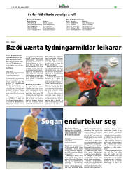 Síða 25