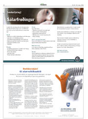 Síða 34