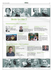 Síða 45