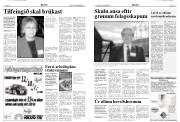 Síða 6