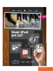 Síða 13