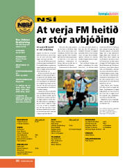 Síða 20