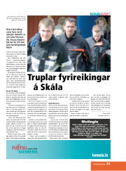 Síða 33