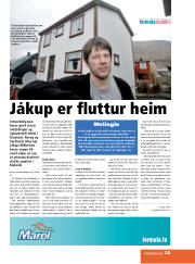 Síða 35