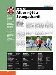 Síða 38