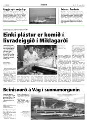 Síða 10