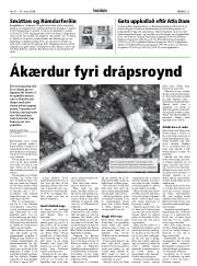 Síða 11