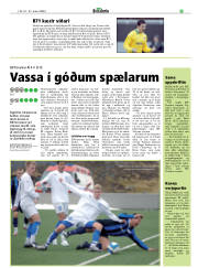Síða 25