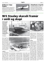 Síða 11
