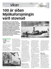 Síða 17