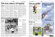 Síða 8