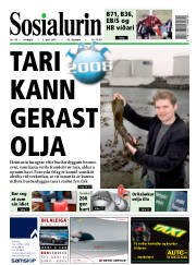 Síða 1