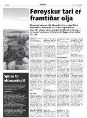 Síða 18