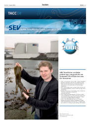 Síða 19