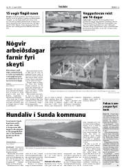 Síða 35