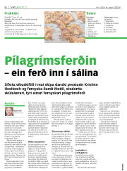 Síða 6