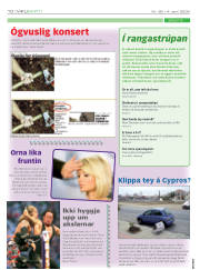 Síða 10