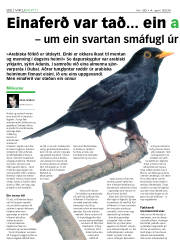 Síða 22