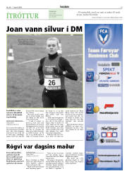 Síða 19