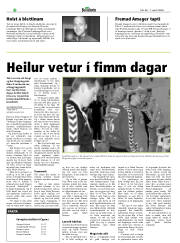 Síða 20