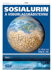 Síða 21