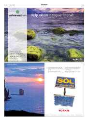 Síða 31