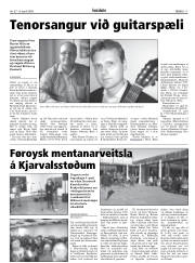Síða 17
