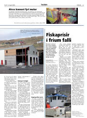 Síða 25