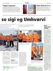 Síða 29