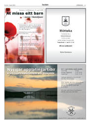 Síða 33