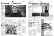 Síða 4