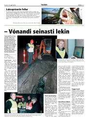Síða 15