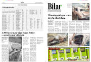 Síða 8