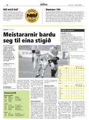 Síða 22