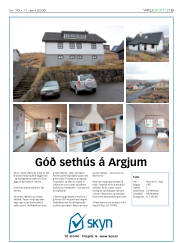 Síða 19