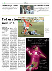 Síða 20