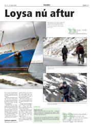 Síða 45