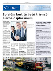 Síða 17