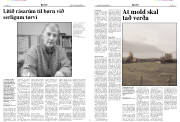 Síða 6