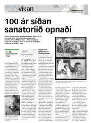 Síða 15