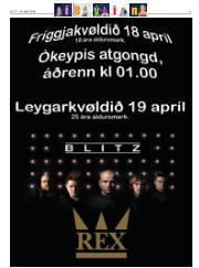 Síða 31
