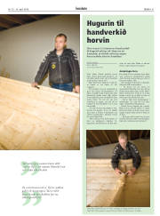 Síða 41