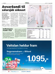 Síða 6