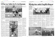 Síða 12