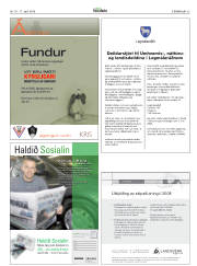 Síða 43
