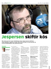 Síða 8