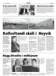 Síða 9