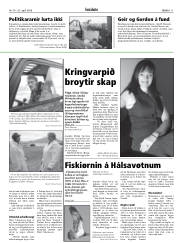 Síða 11
