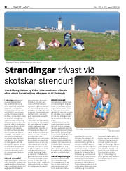 Síða 24